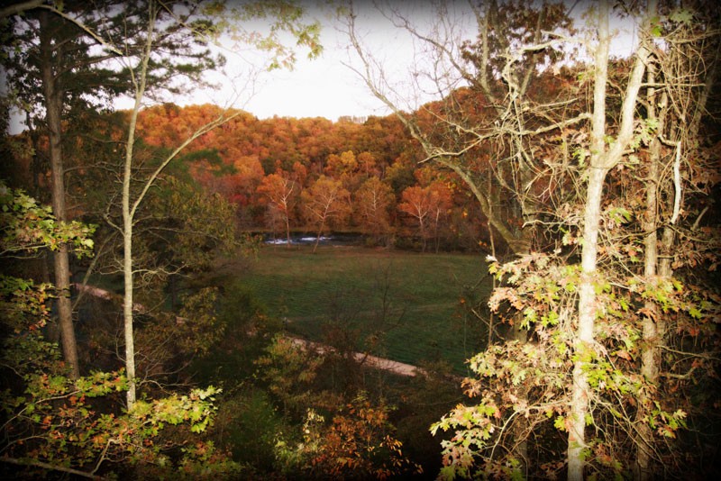 View of Fall Colors from Tree House deck