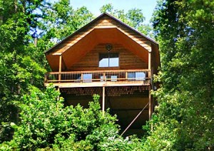 Dodge Ewell konto Treetop Loft Cabin | Missouri Cabins - Treehouse Cabins