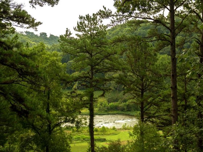 Missouri Romantic River Rose Treehouse Cabins