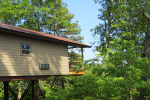 Treehouse cabins King Fisher Cabin